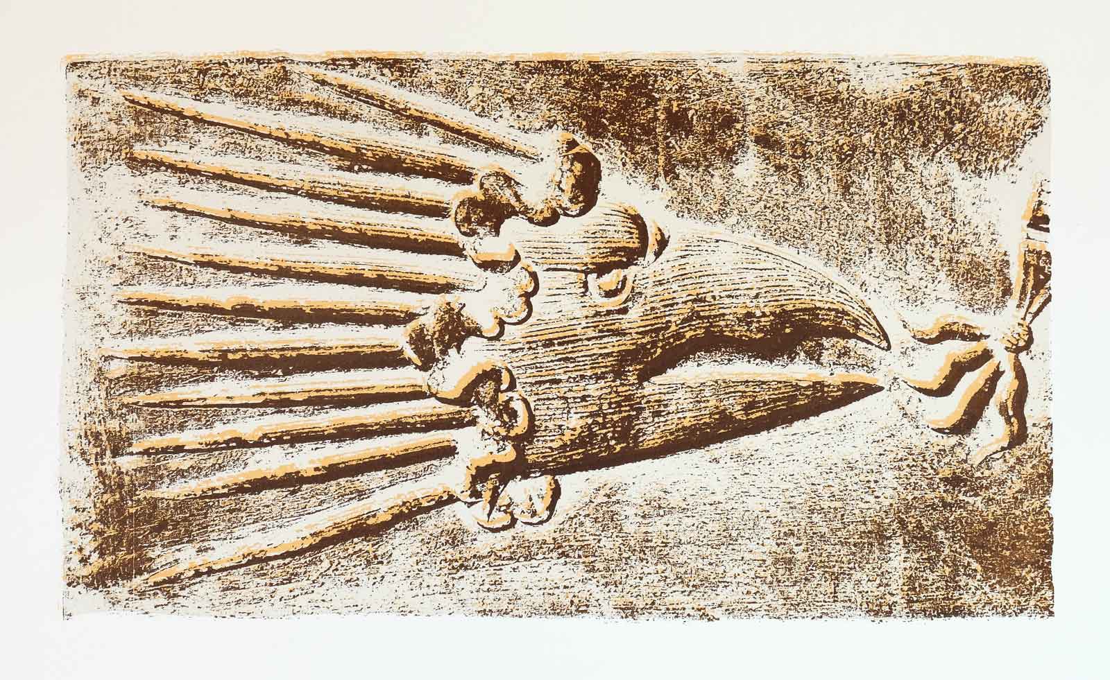 Becco del’Aquila
