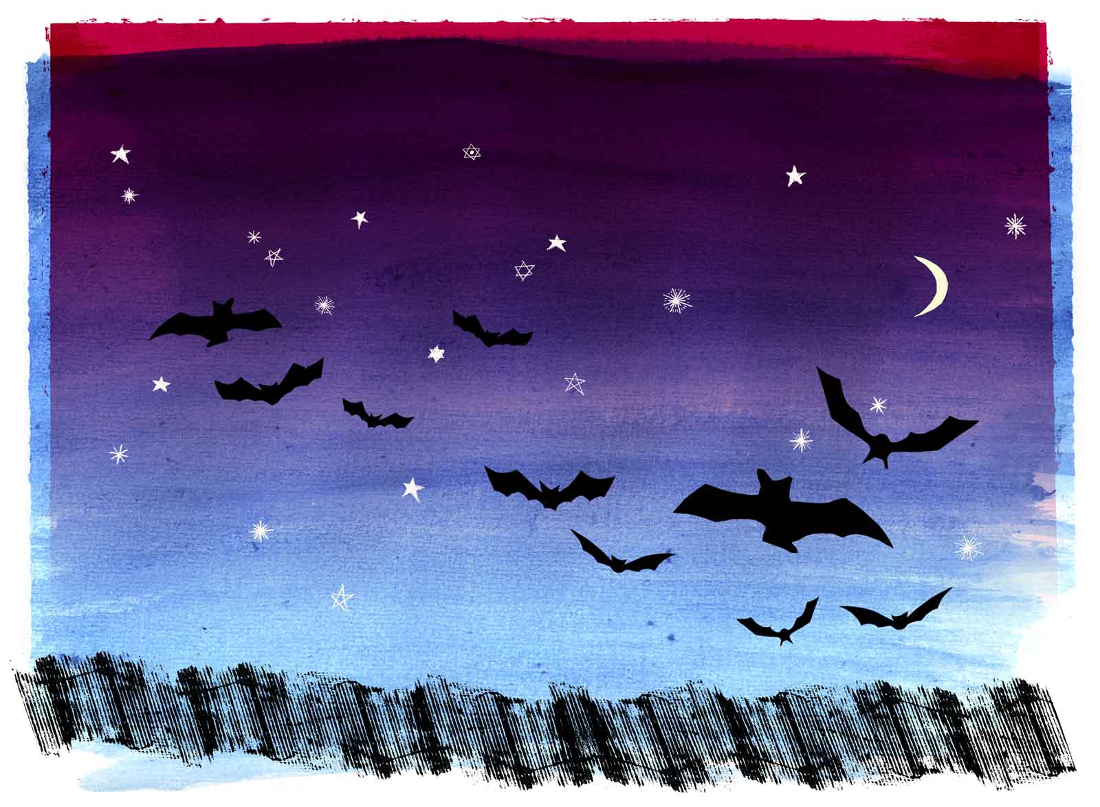 Bats above the reeds